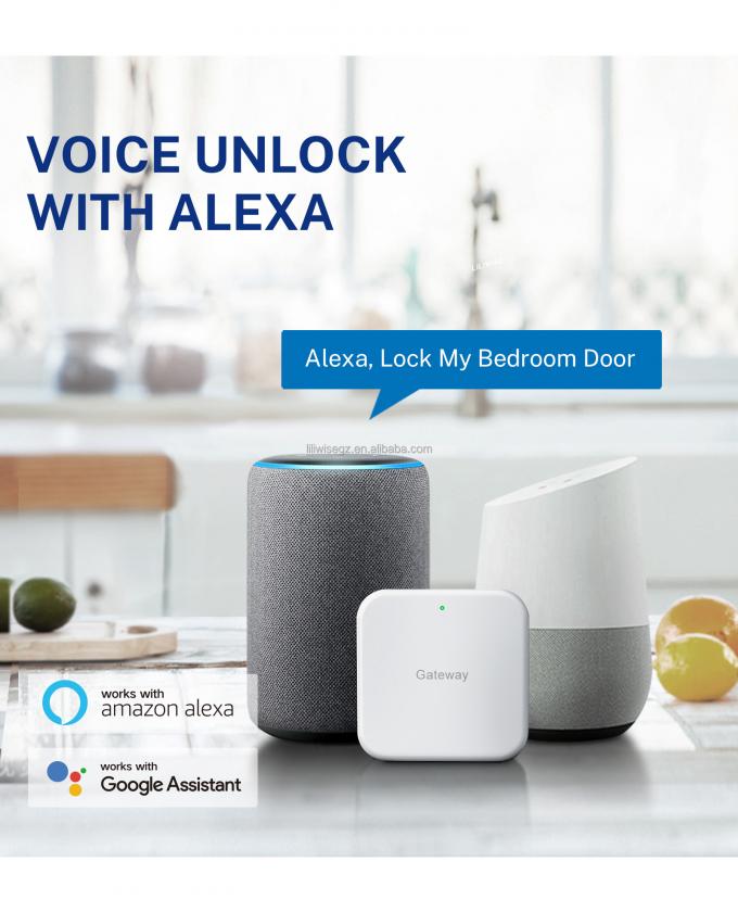 Inteligentny zamek do drzwi Tuya WiFi BLE z odciskiem palca i klawiaturą 4