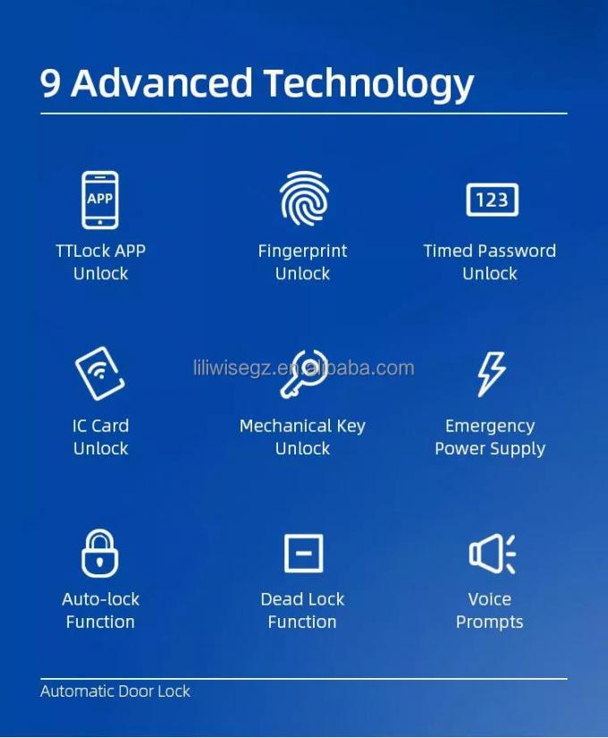 Liliwise Nierdzewna Wodoszczalna Smart Lock Outdoor Tuya Ttlock Wi-Fi Keyless Smart Door Lock Z Api 4