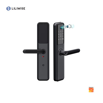 Smart Door Lock z odciskiem palca Wi-Fi Bluetooth dla drzewnych drzwi stalowych