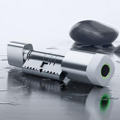 Liliwise Odciski palców Karta RFID Wodoszczelna Zamka Do Drzwi Regulowalna WiFi BLE Tuya Ttlock Smart Zamek Cylinder do wymiany starych mechanicznych