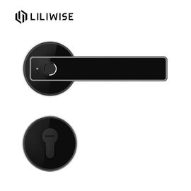 Zamek linii papilarnych rezydencji / oddzielny cylinder WiFi APP Bluetooth Inteligentna elektroniczna blokada drzwi