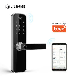 Airbnb Elektroniczne zamki do drzwi Rezydencja Tuya Inteligentna karta identyfikacyjna linii papilarnych Blokada drzwi Wi-Fi