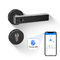 Wifi Bluetooth Odcisk palca Uchwyt Zamek drzwi Alarm Cyfrowy cylinder Inteligentne drzwi