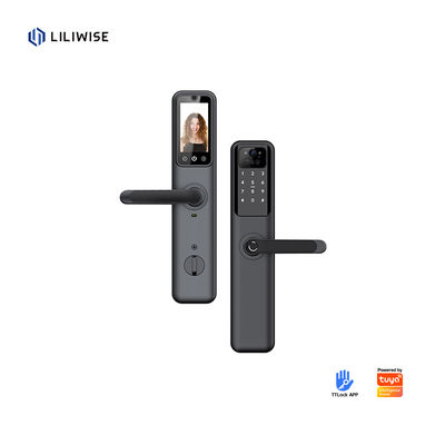 Smart Door Lock z odciskiem palca Wi-Fi Bluetooth dla drzewnych drzwi stalowych