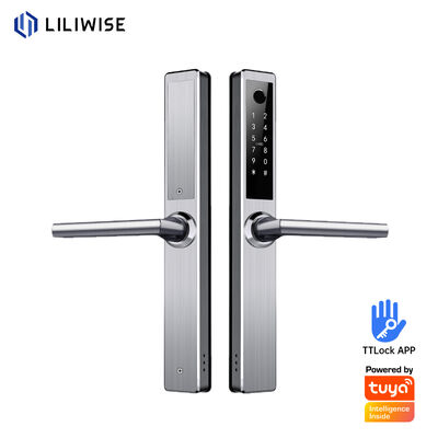 Liliwise Nierdzewna Wodoszczalna Smart Lock Outdoor Tuya Ttlock Wi-Fi Keyless Smart Door Lock Z Api