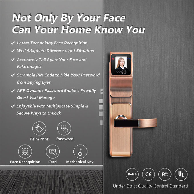 Inteligentny 3D Podczerwień Rozpoznawanie twarzy Blokada klamki drzwi dla rodziny i firmy 0